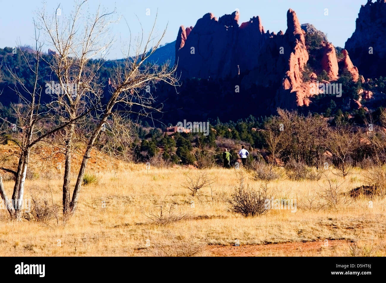 Jogger amid the red sandstone spires of Red Rocks Open Space Park in Colorado Springs, Colorado Stock Photo