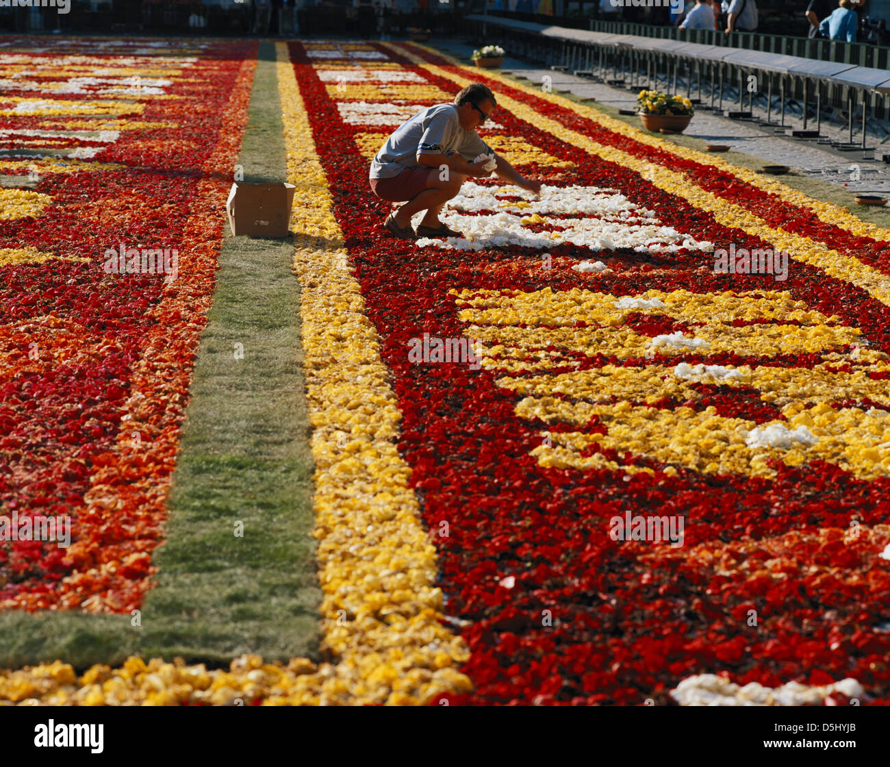 Grand Place Maintaining The Flower Market Brussels Belgium Stock