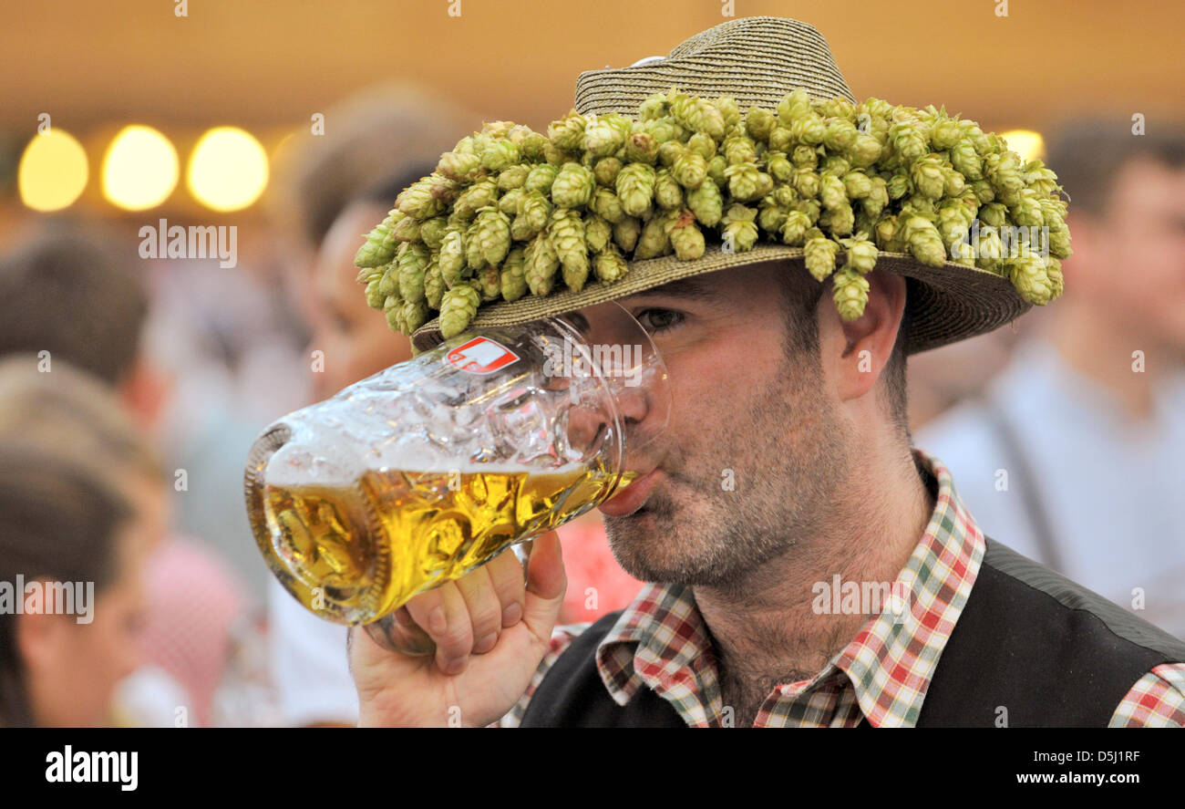 A man wearing a hat of hops drinks a beer at Oktoberfest in Munich, Germany, 22 September 2012. The world's largest folk festival takes place from 22 September until 07 October this year. Photo: Frank Leonhardt Stock Photo