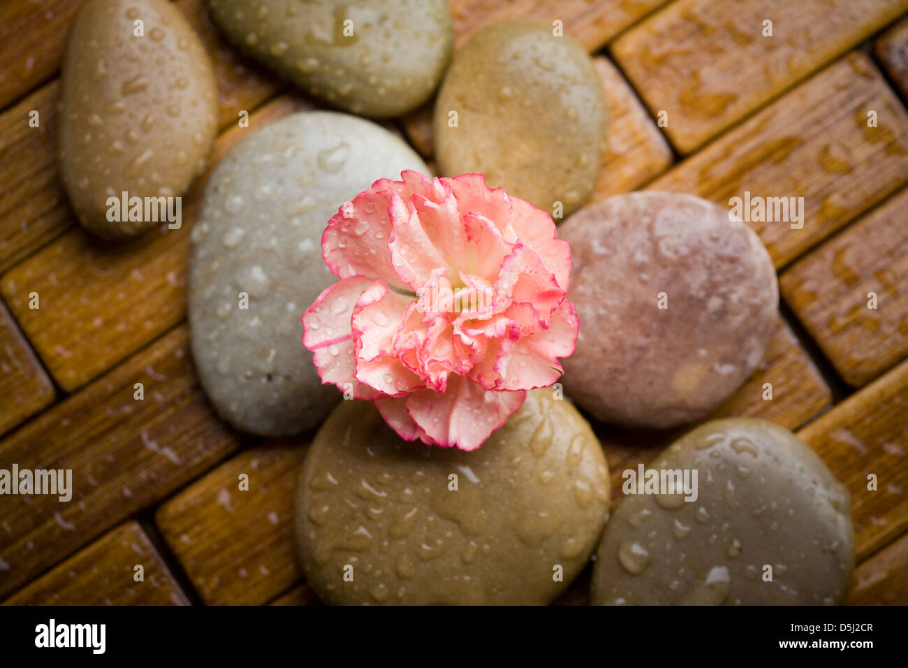 Brown stones with water drops and flower petals Stock Photo - Alamy