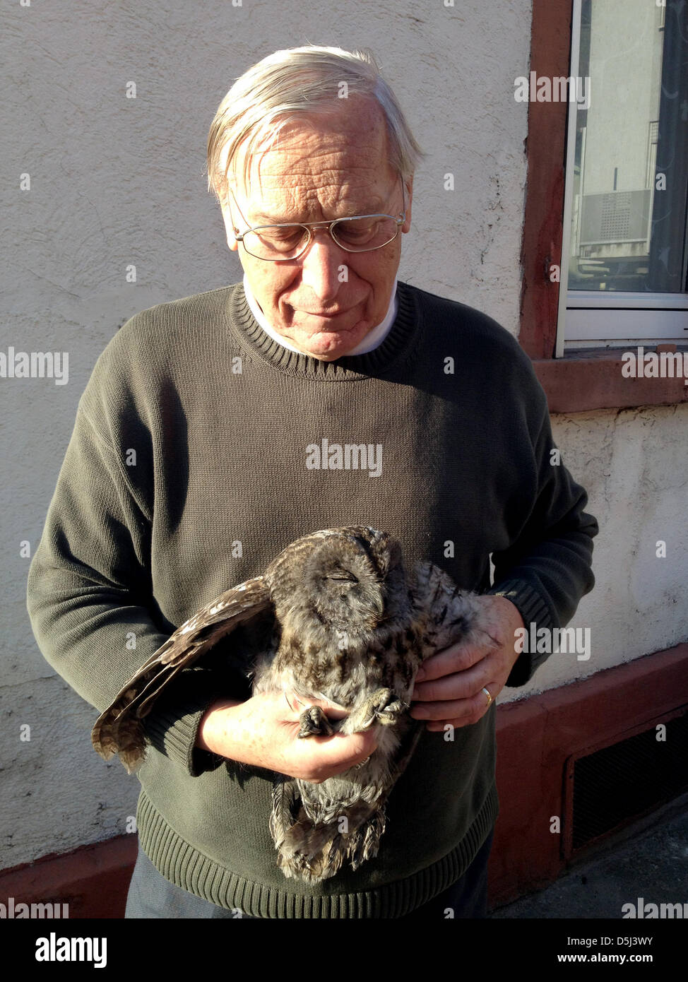 HANDOUT - A handout picture dated 13 November 2012 shows a tawny owl examined by ornithologist Dietmar Matt after it crashed into a chimney in Weinheim, Germany. According to the firebrigade, the bird fell into the chimney of an apartment house and had to be rescued. The owl suffered no harm.  Photo: Ralf Mittelbach / Firebrigade Weinheim / HANDOUT / MANDATORY CREDIT / EDITORIAL US Stock Photo