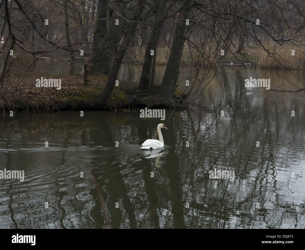 Prospect park water park hires stock photography and images Alamy