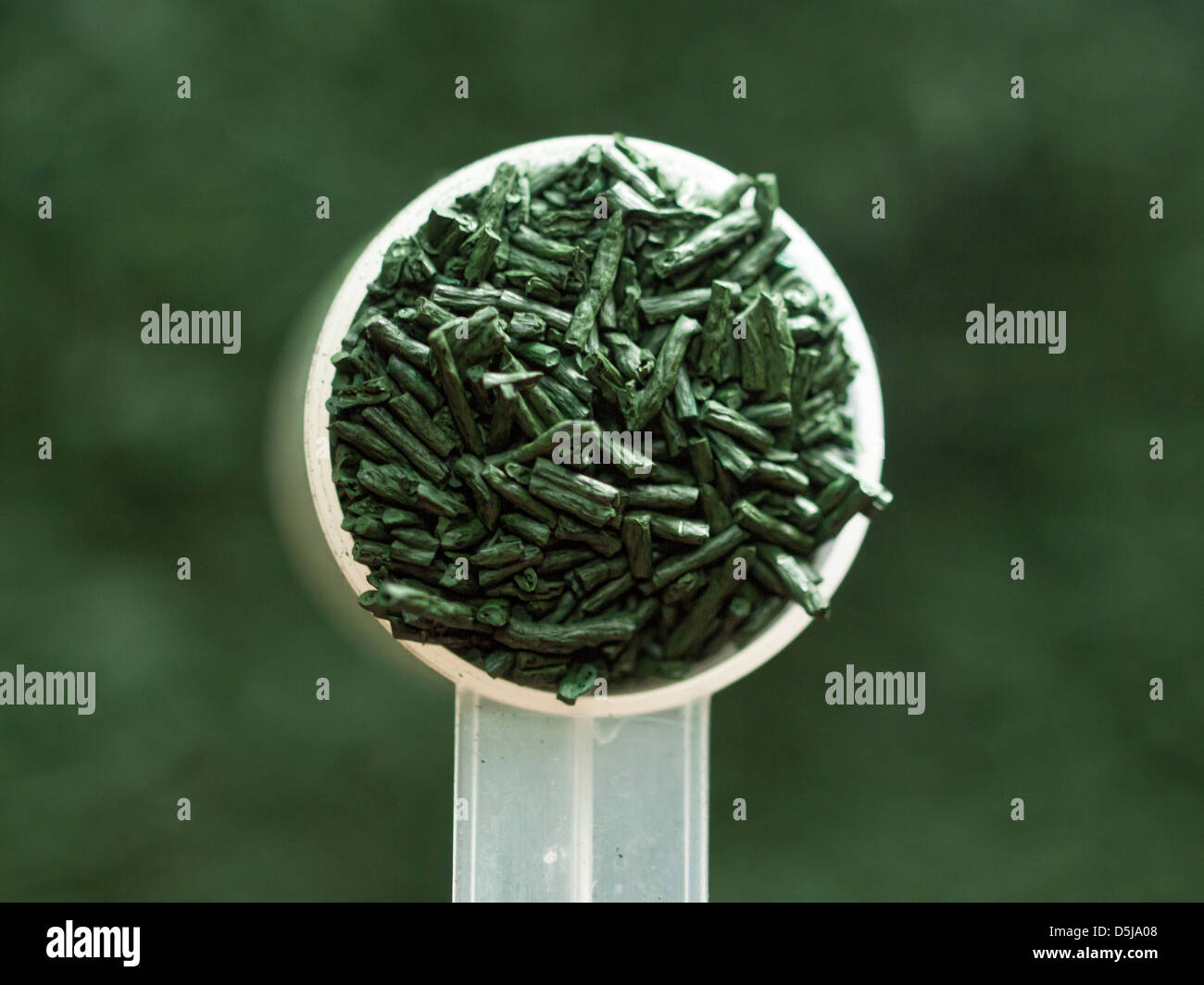 Spirulina hires stock photography and images Alamy