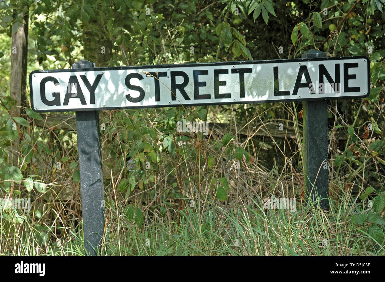 Funny signboards hi-res stock photography and images - Alamy Funny signboards hi-res stock photography and images - Alamy