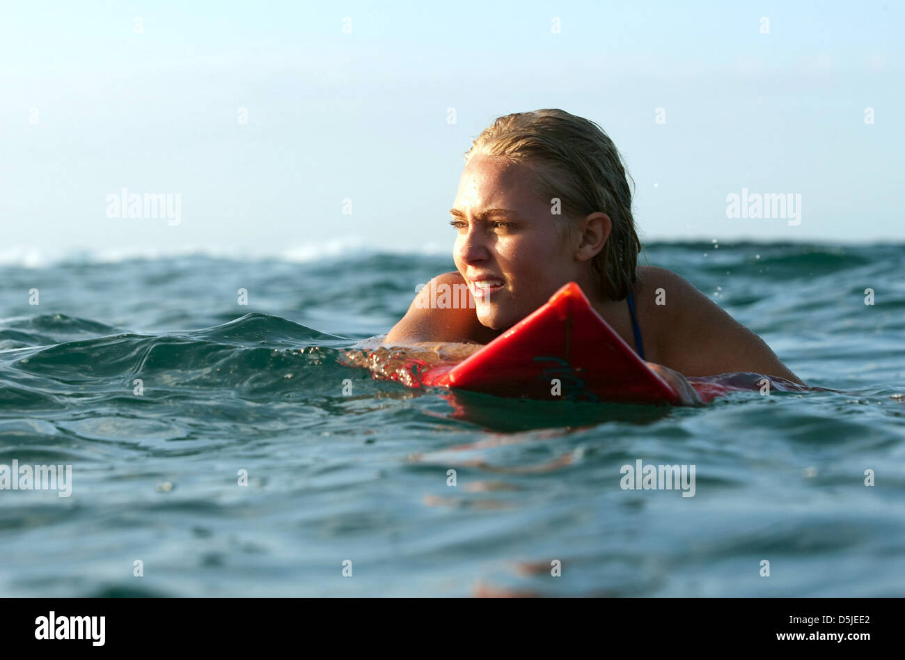 Annasophia Robb High Resolution Stock Photography and Images - Alamy