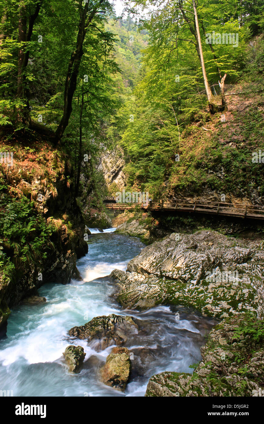 Vintgar Gorge (Soteska Vintgar), Bled, Slovenia Stock Photo