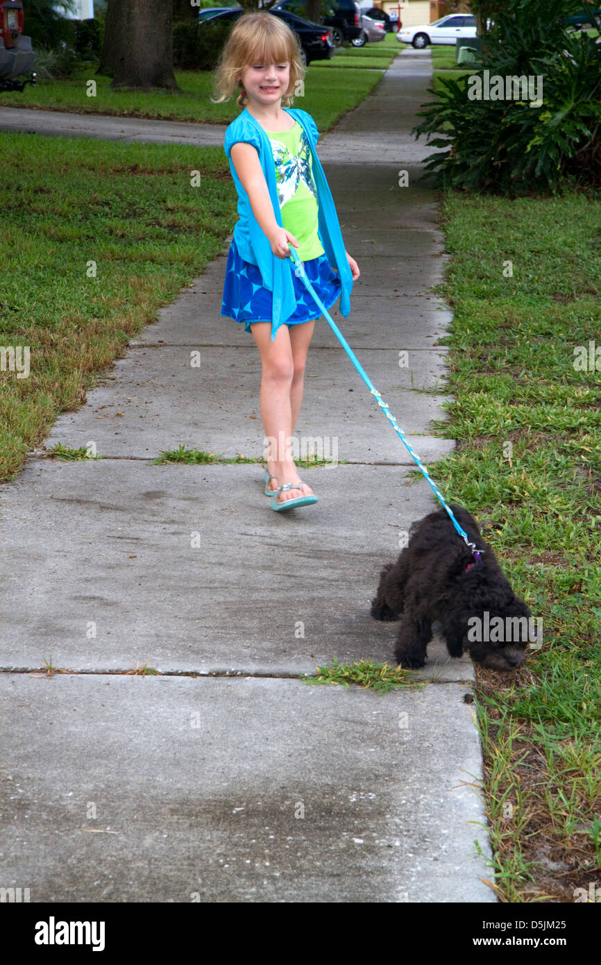 Five year old girl walking a dog in Tampa, Florida, USA. Stock Photo