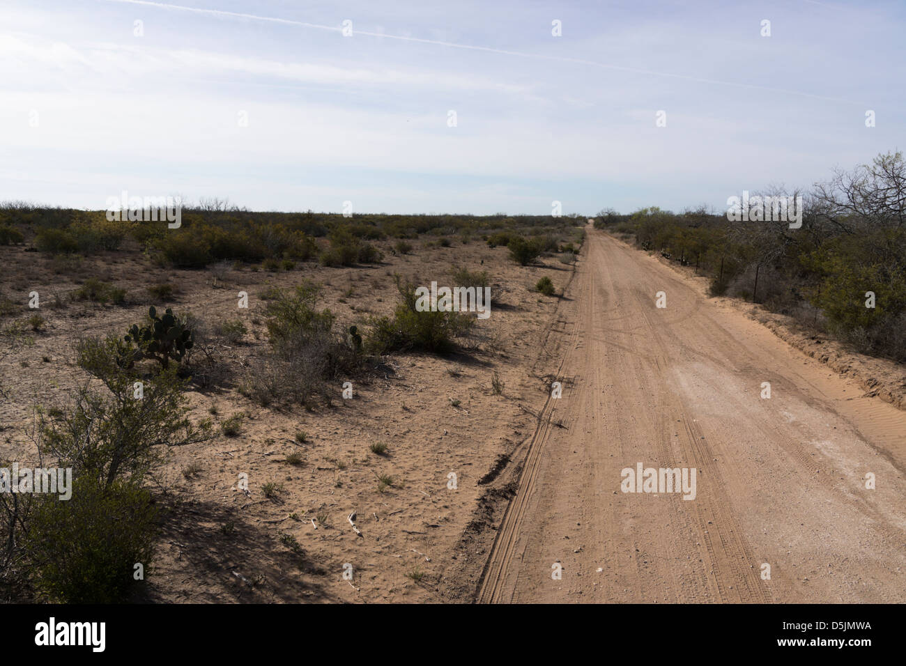 Ranch road in the south Texas desert Stock Photo
