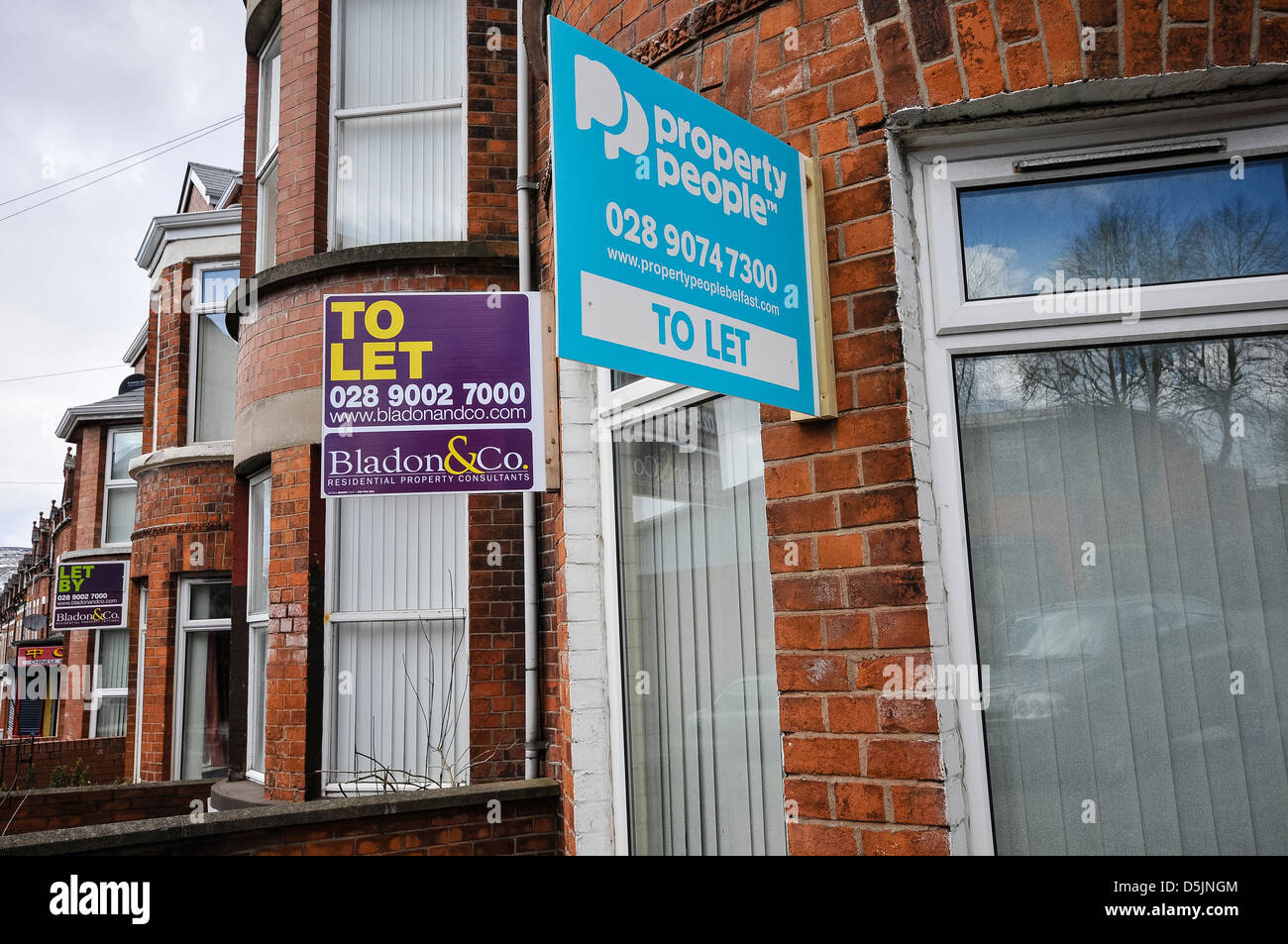 To Let signs on terraced houses in Belfast Stock Photo