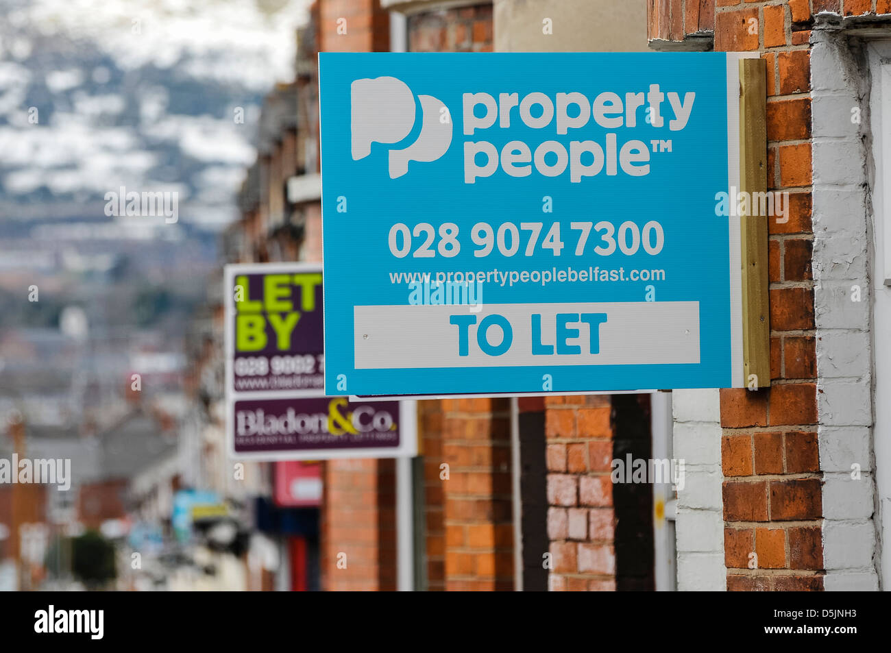 To Let signs on terraced houses in Belfast Stock Photo