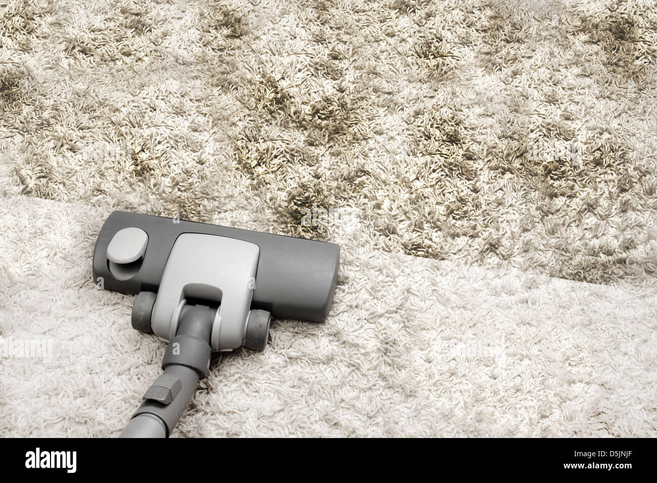 Vacuuming dirty carpet Stock Photo Alamy