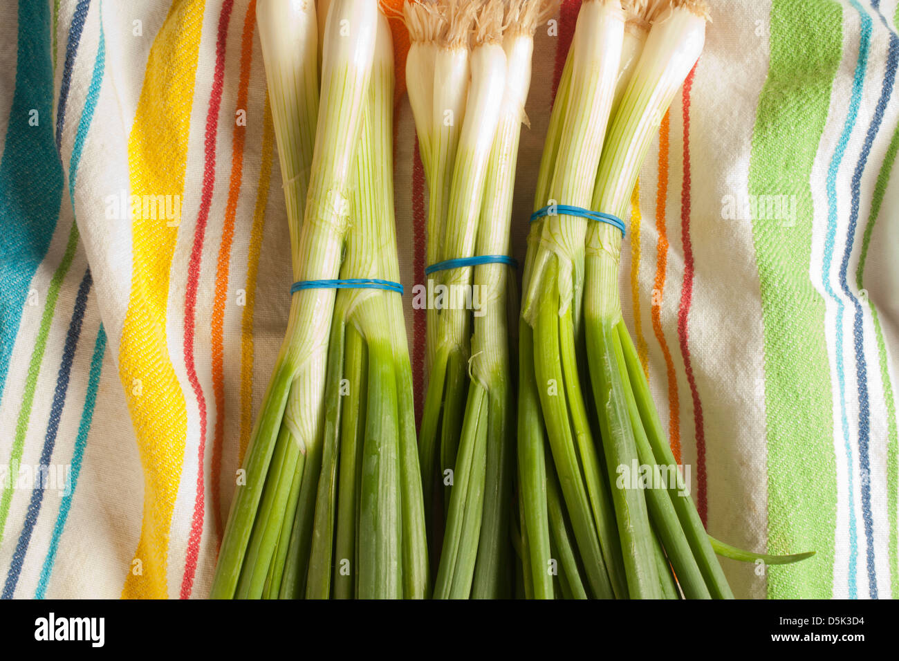 Bunches of Scallions, sometimes called long or green onions Stock Photo