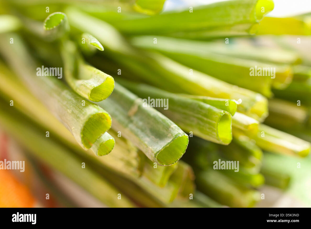 Bunches of Scallions, sometimes called long or green onions Stock Photo