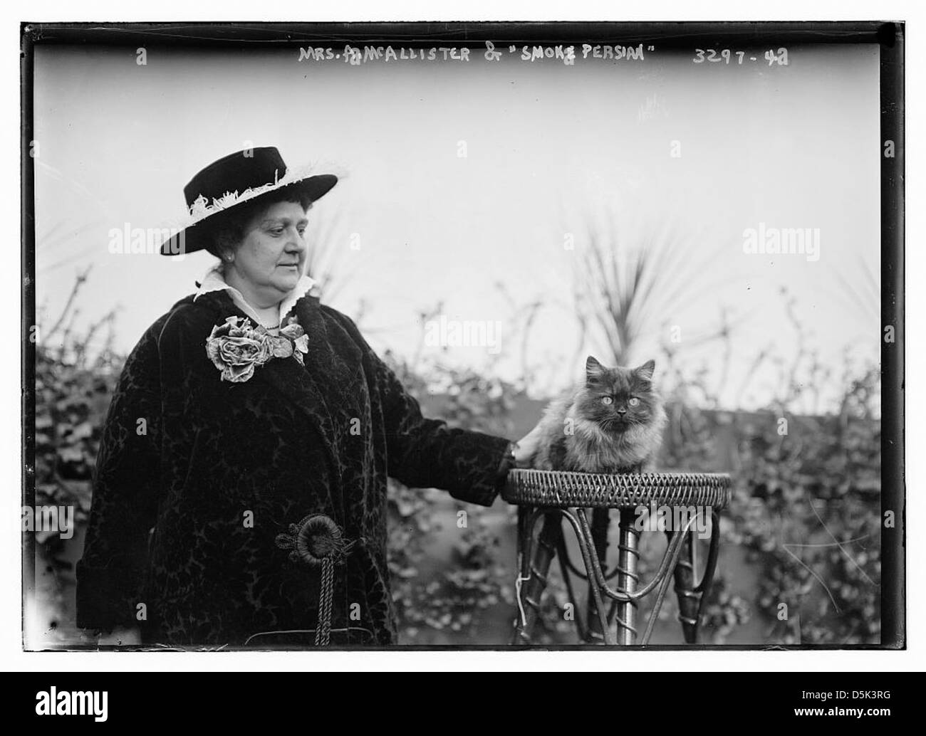 This photograph features Mrs. Anna M. McAllister from New York City with her Persian cat named 'Smoke.' The image is part of the Library of Congress collection, capturing her participation in a cat show. Stock Photo
