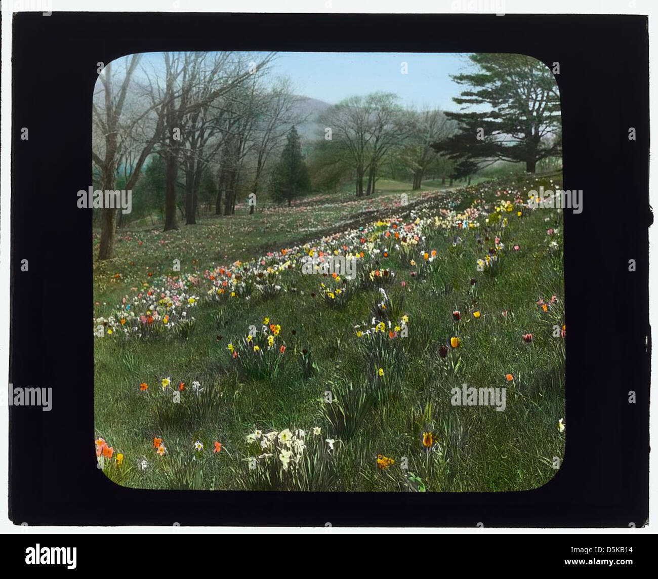 Cragston hires stock photography and images Alamy