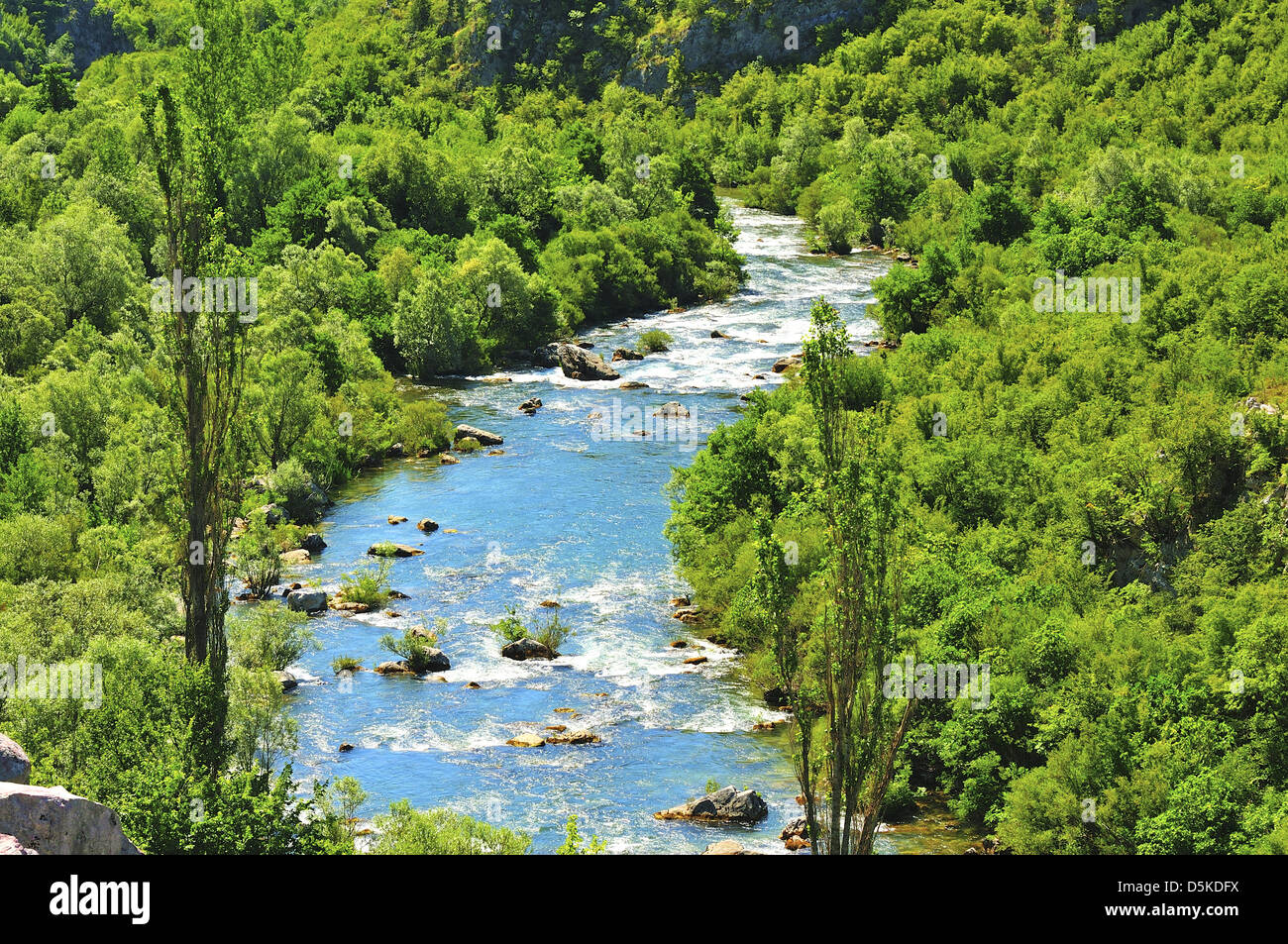cetina river canyon near nova sela, splitsko-dalmatinska, croatia Stock  Photo - Alamy