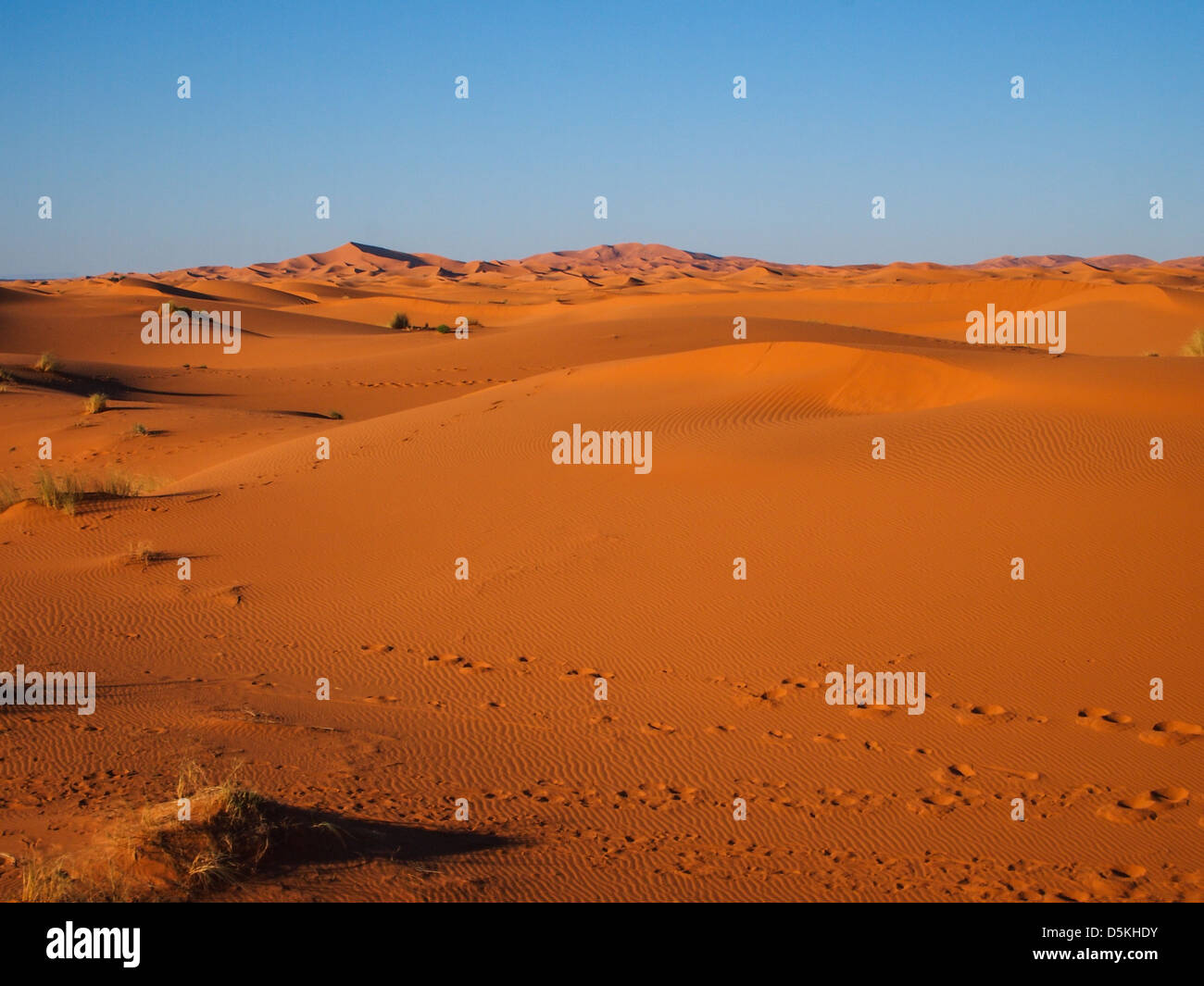 Sand dunes of Erg Chebbi in the Sahara Desert, Morocco Stock Photo - Alamy