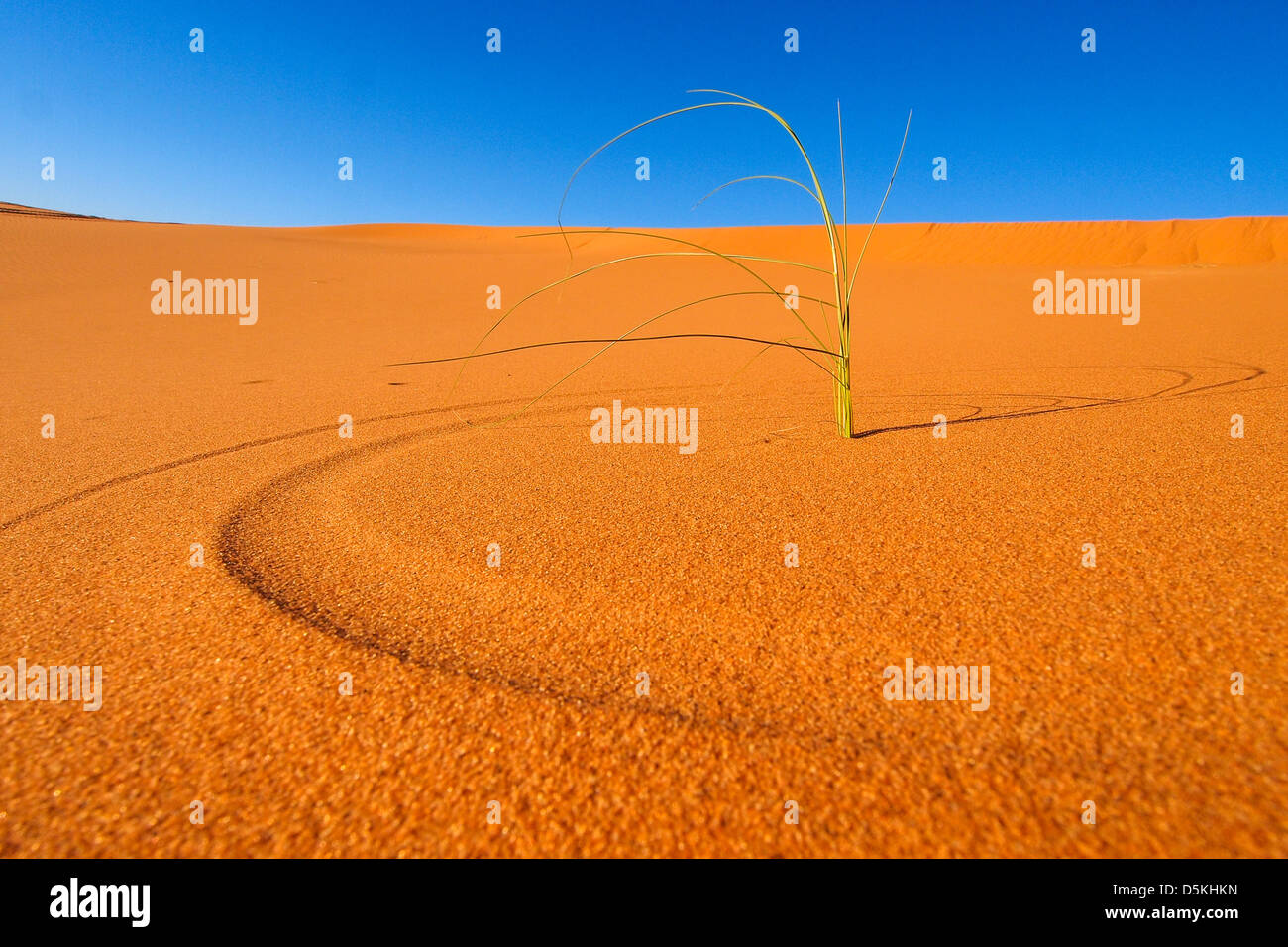 Sand dunes of Erg Chebbi in the Sahara Desert, Morocco Stock Photo - Alamy