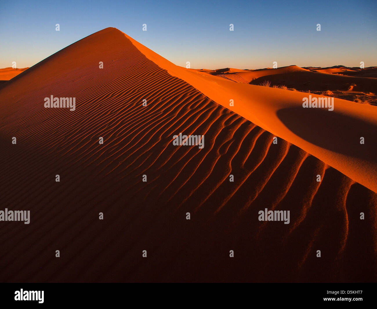 Sand dunes of Erg Chebbi in the Sahara Desert, Morocco Stock Photo - Alamy