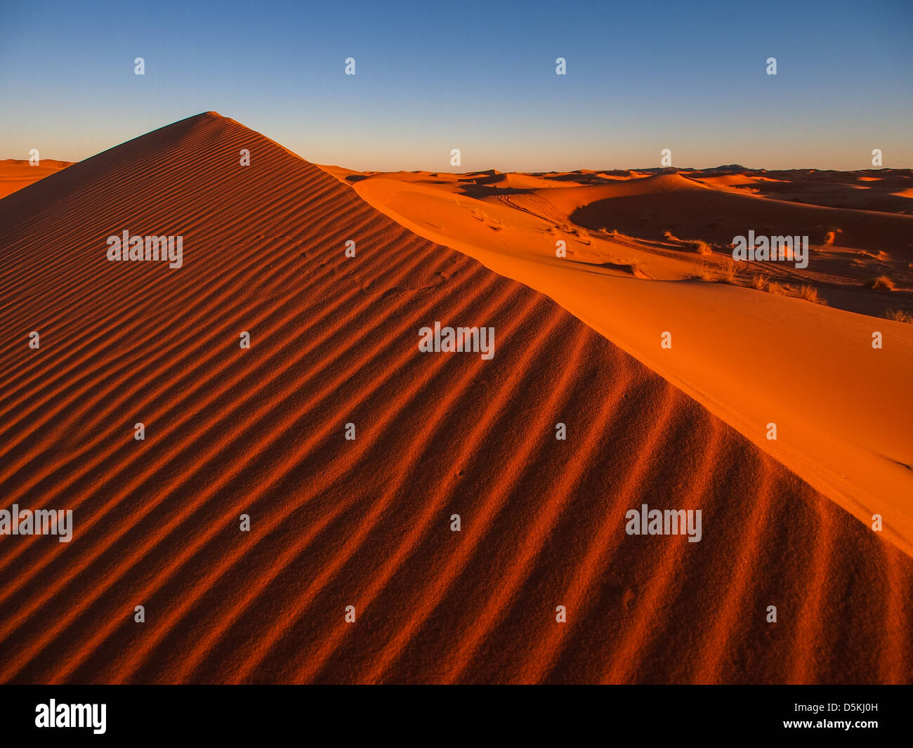 Sand dunes of Erg Chebbi in the Sahara Desert, Morocco Stock Photo - Alamy
