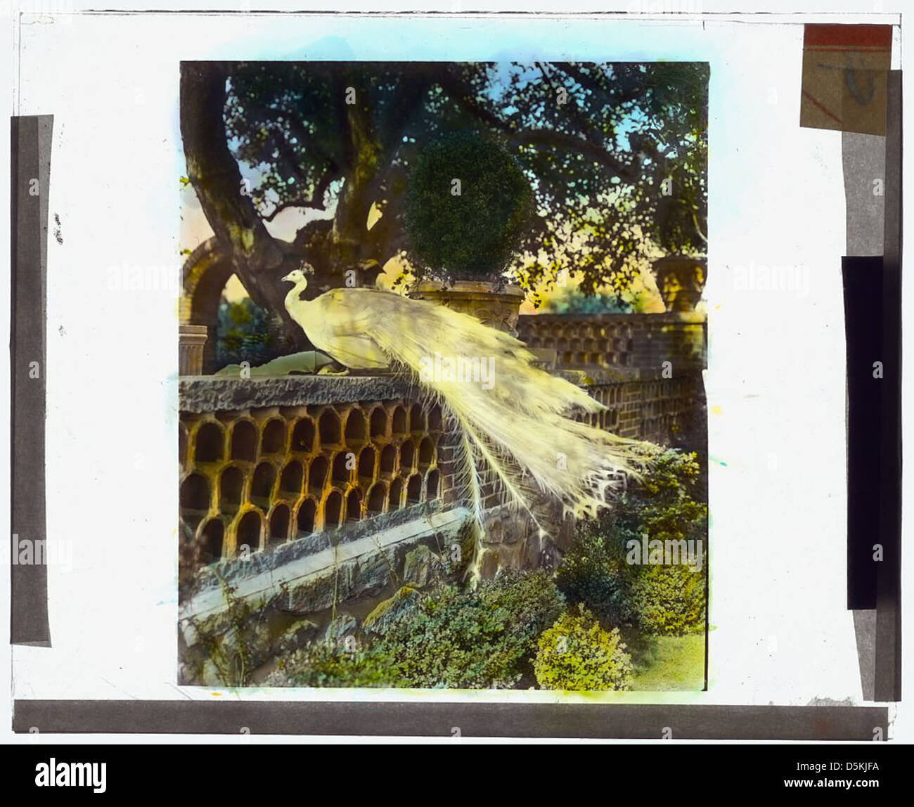 John wesley baxter hires stock photography and images Alamy