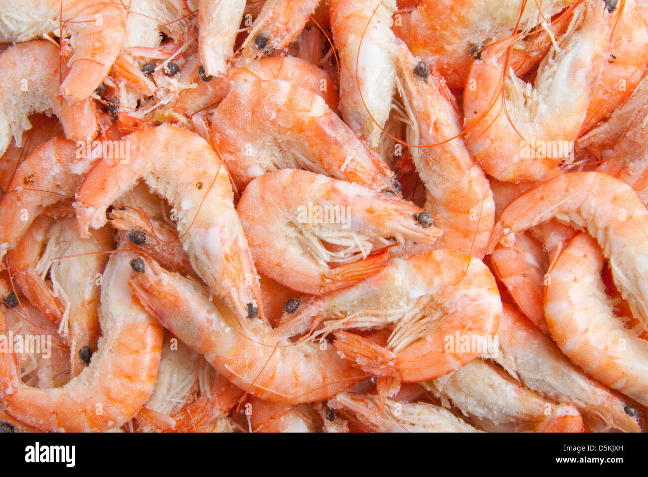Lots of frozen shrimp for background use Stock Photo Alamy