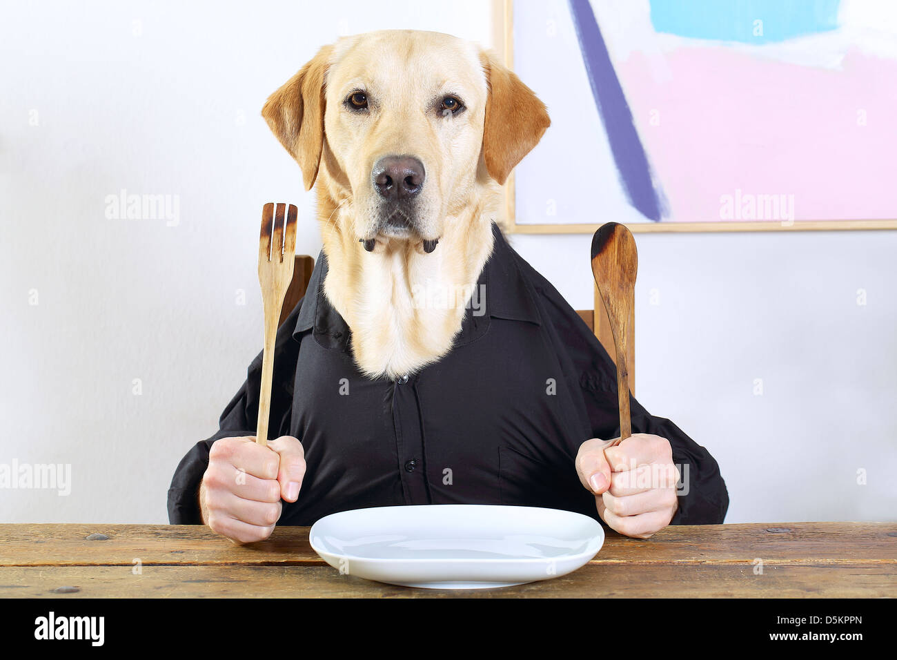 dog's head and hands human being with wooden cutlery Stock Photo