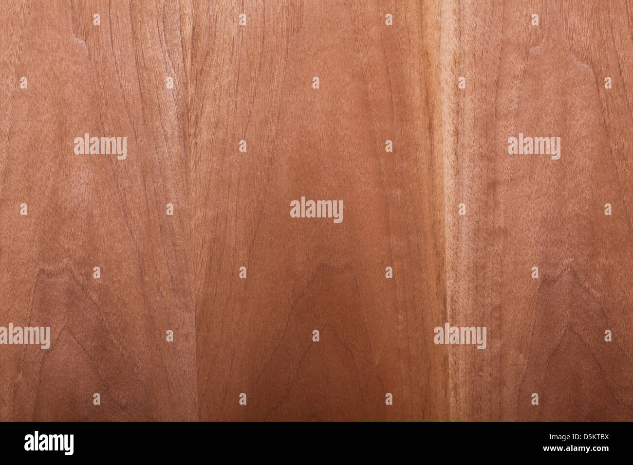closeup image of natural wood texture Stock Photo Alamy