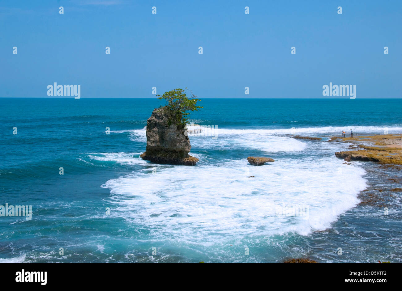 Island at the beach in Costa Rica, Playa Manzanillo. Central America
