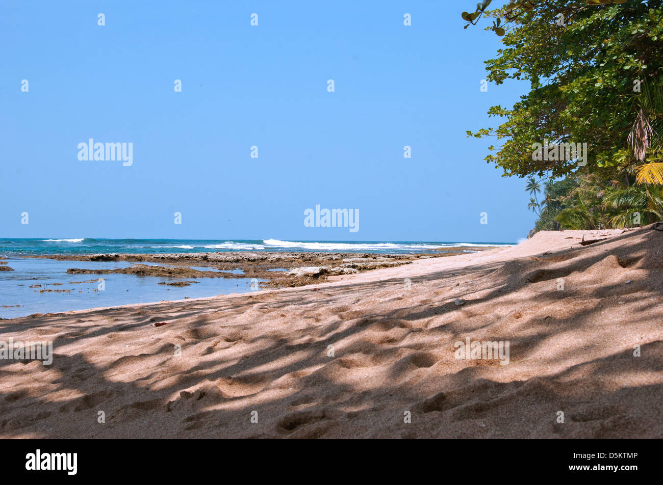 The beach in Costa Rica, with jungle reaching beach, Playa Manzanillo
