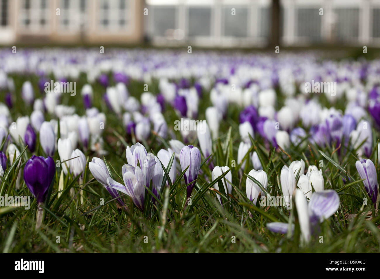 Sheffield Park And Garden Spring High Resolution Stock Photography and ...