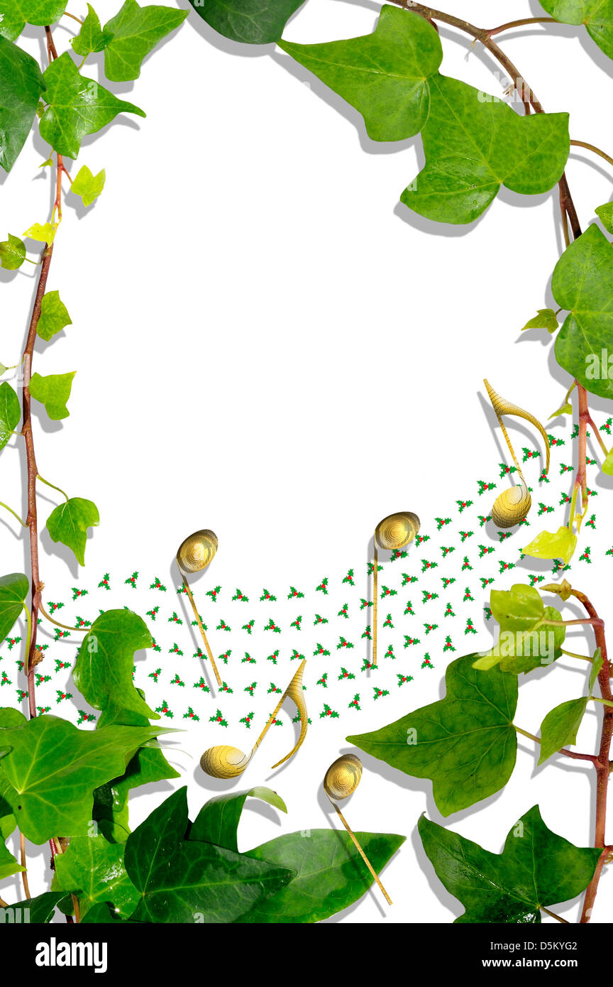 Wallpaper Borders Flowers And Ivy