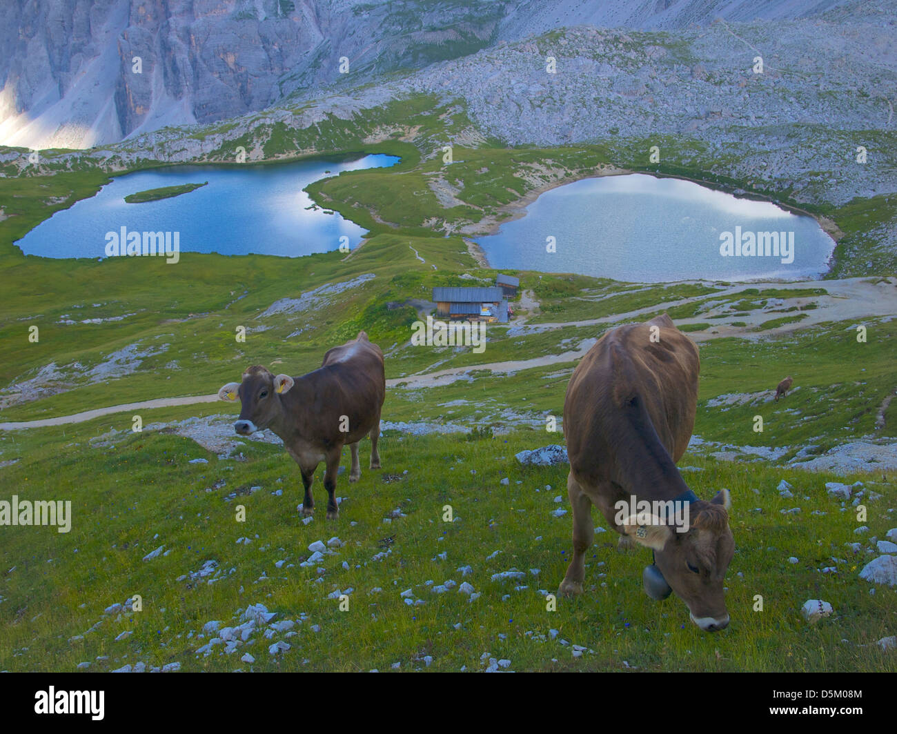 dreischusterspitze (punta dei tre scarperi / cima di tre scarperi), parco naturale tre cime, dolomites, south tyrol, italy Stock Photo