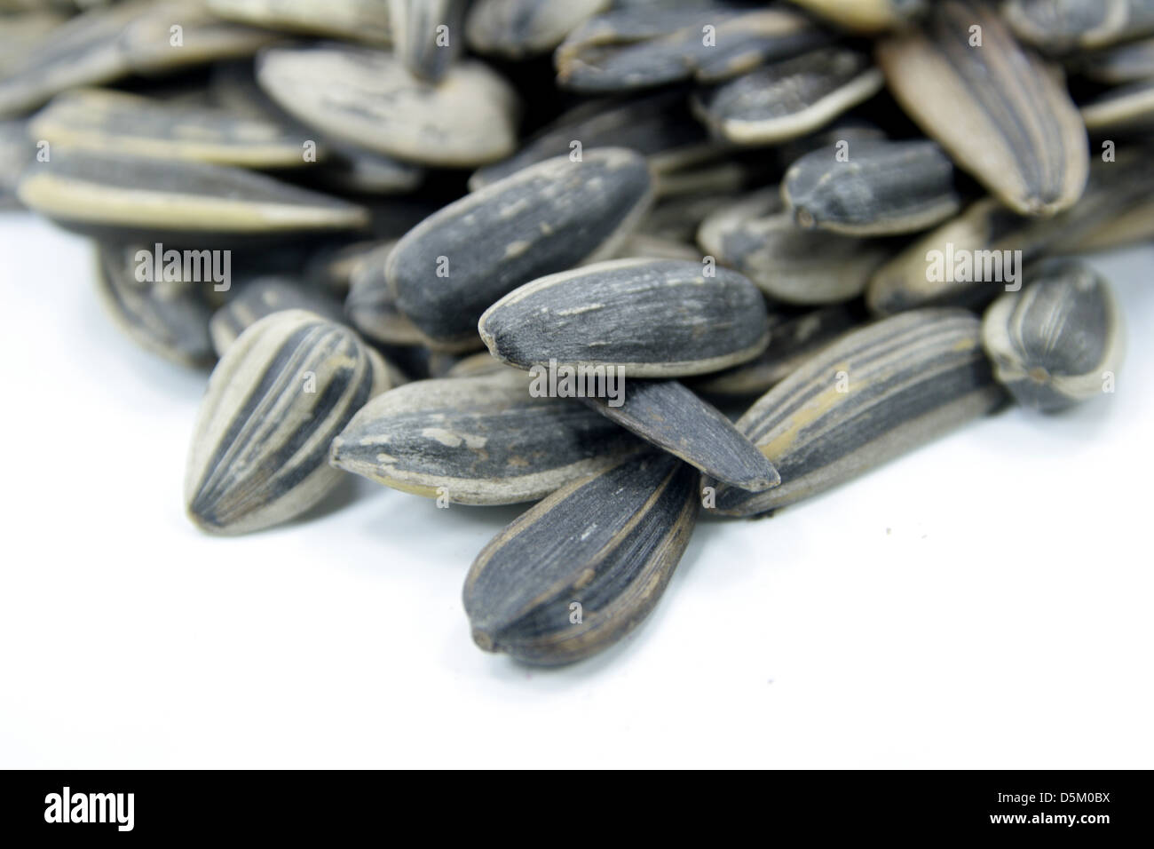 sunflower seeds Stock Photo