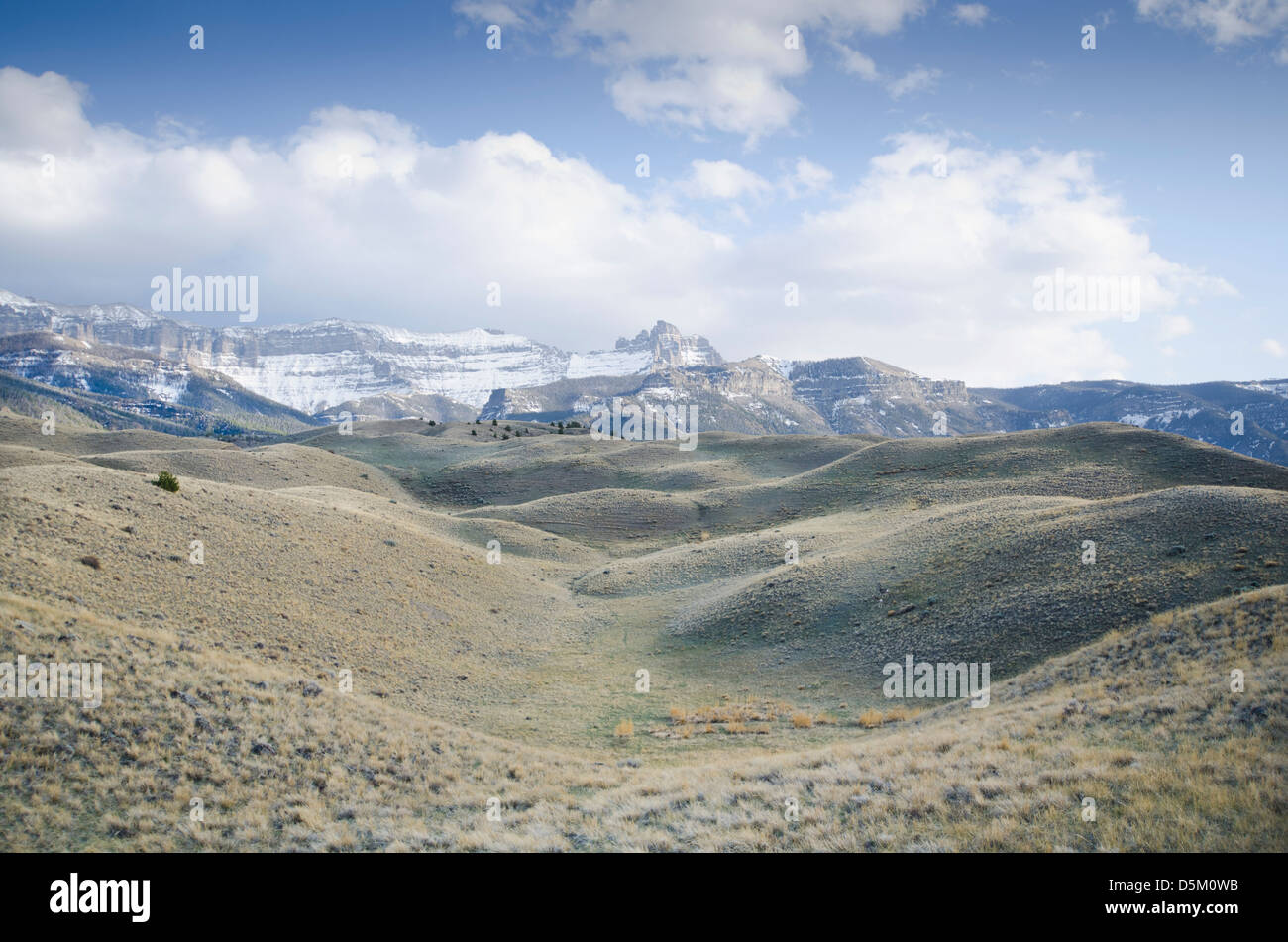 USA, Wyoming, View of Shoshone National Forest with Rocky Mountains in background Stock Photo