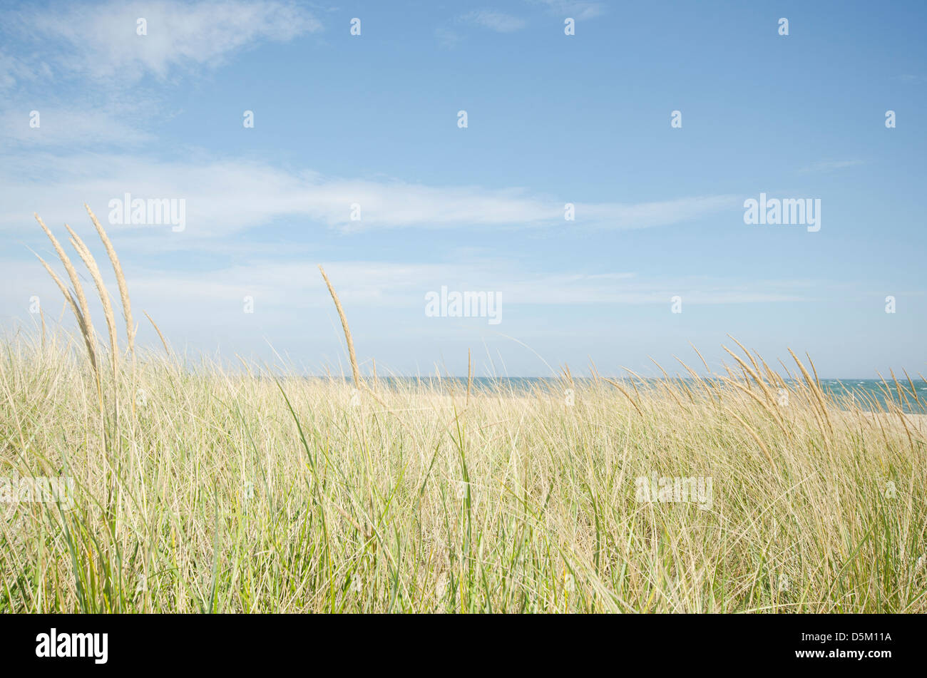 USA, Massachusetts, Nantucket, Sand dunes with grass Stock Photo