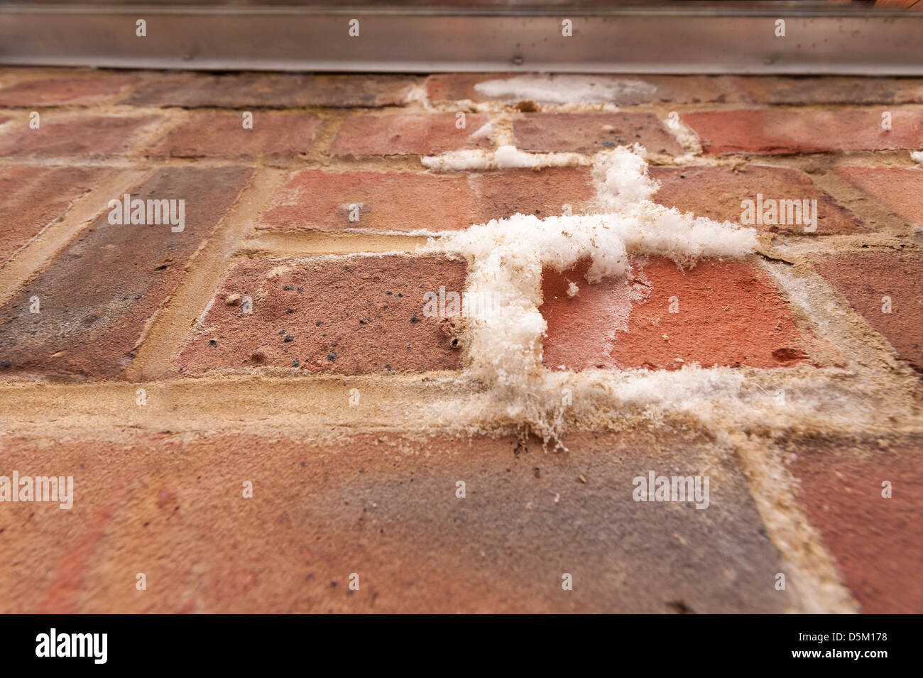 Salt Deposits Up Close Stock Photos & Salt Deposits Up Close Stock