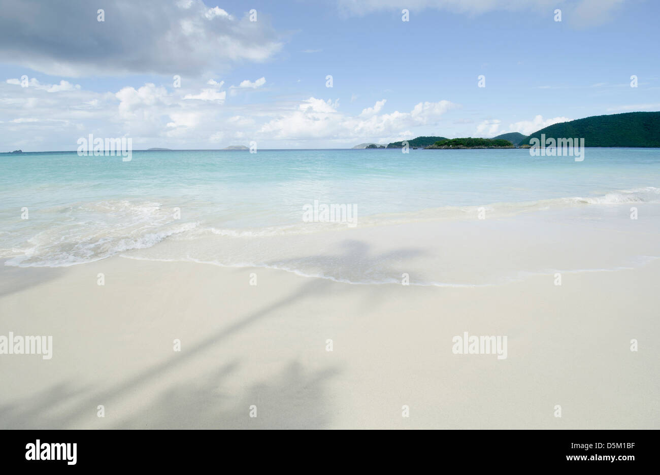 Shadow of palm trees on sandy beach Stock Photo - Alamy