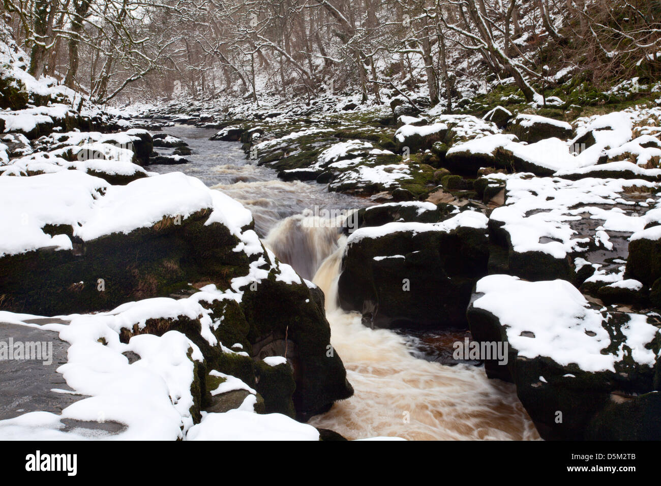 The Strid in Winter Bolton Abbey Yorkshire England Stock Photo