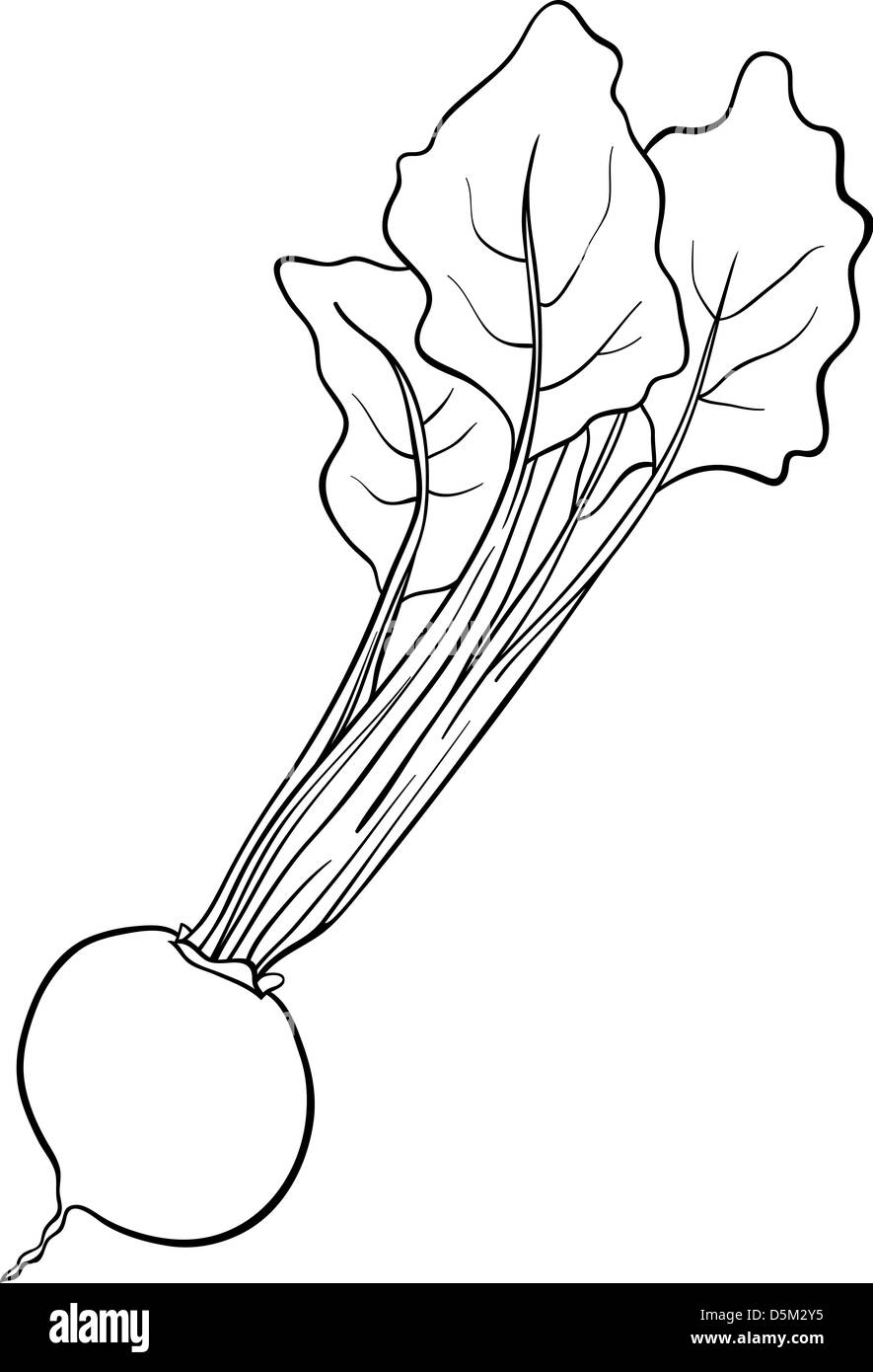 Black and White Cartoon Illustration of Beet Vegetable Food Object for