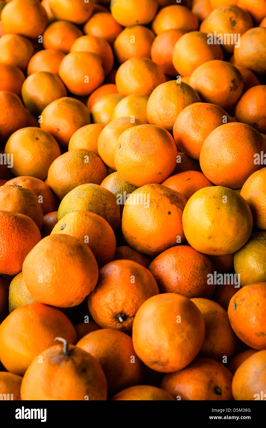 Fresh Florida Oranges on sale at a farmers shops Stock Photo Alamy