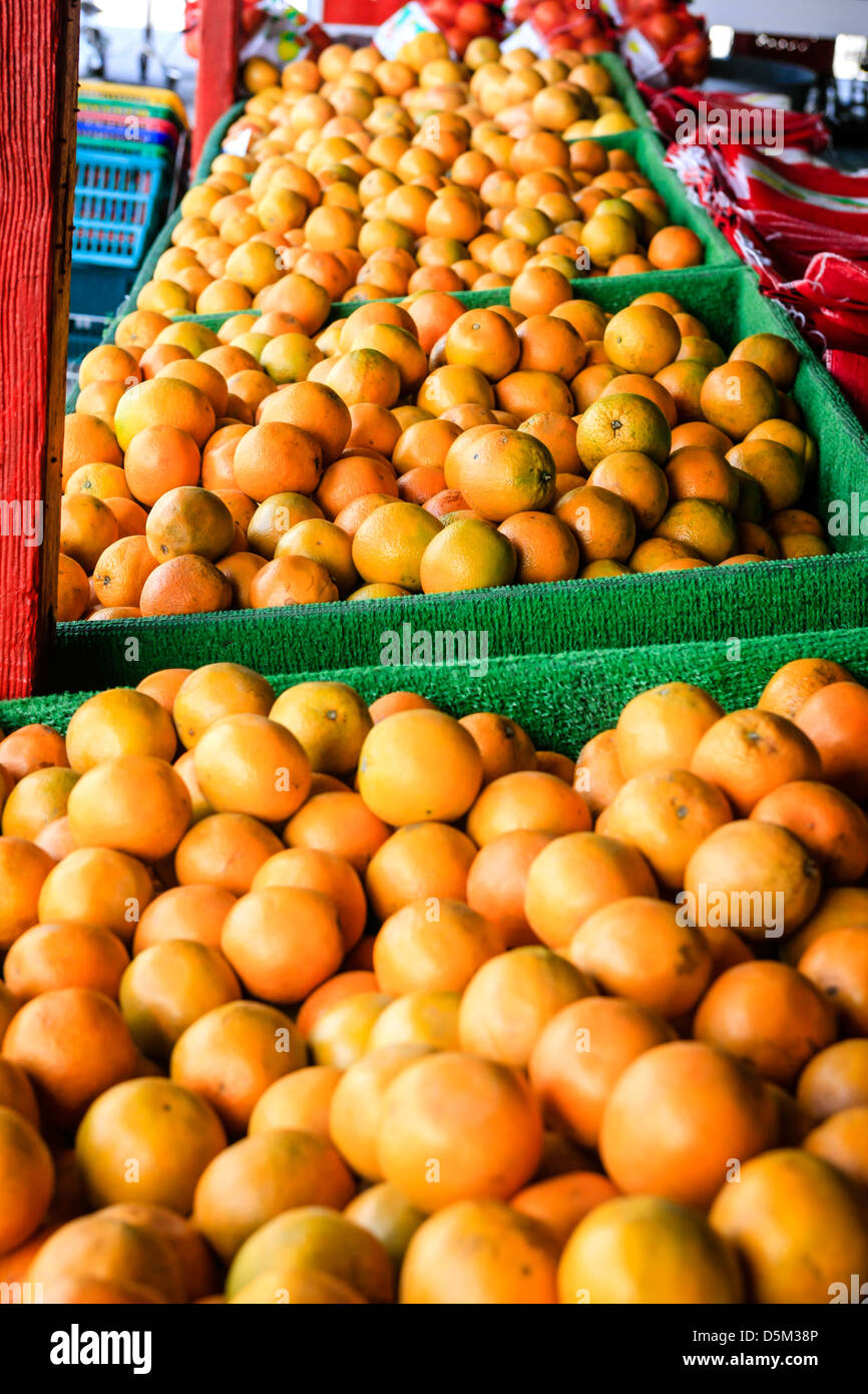 Florida oranges hires stock photography and images Alamy