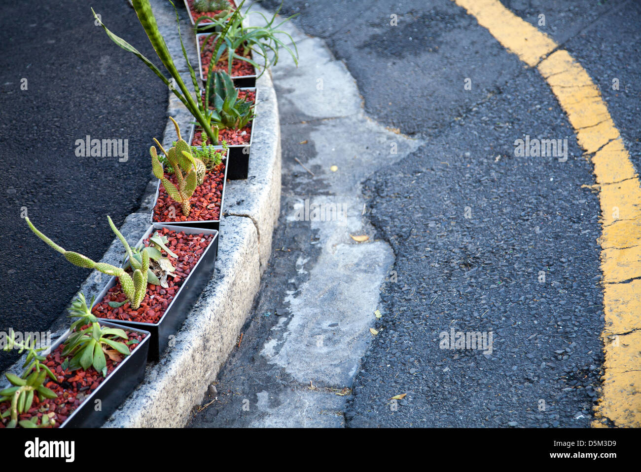 Plant Pots Roadside adding Curb Appeal in cape Town South Africa
