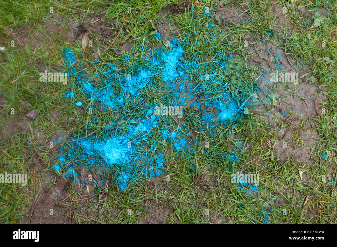 powder splattered on grass Stock Photo