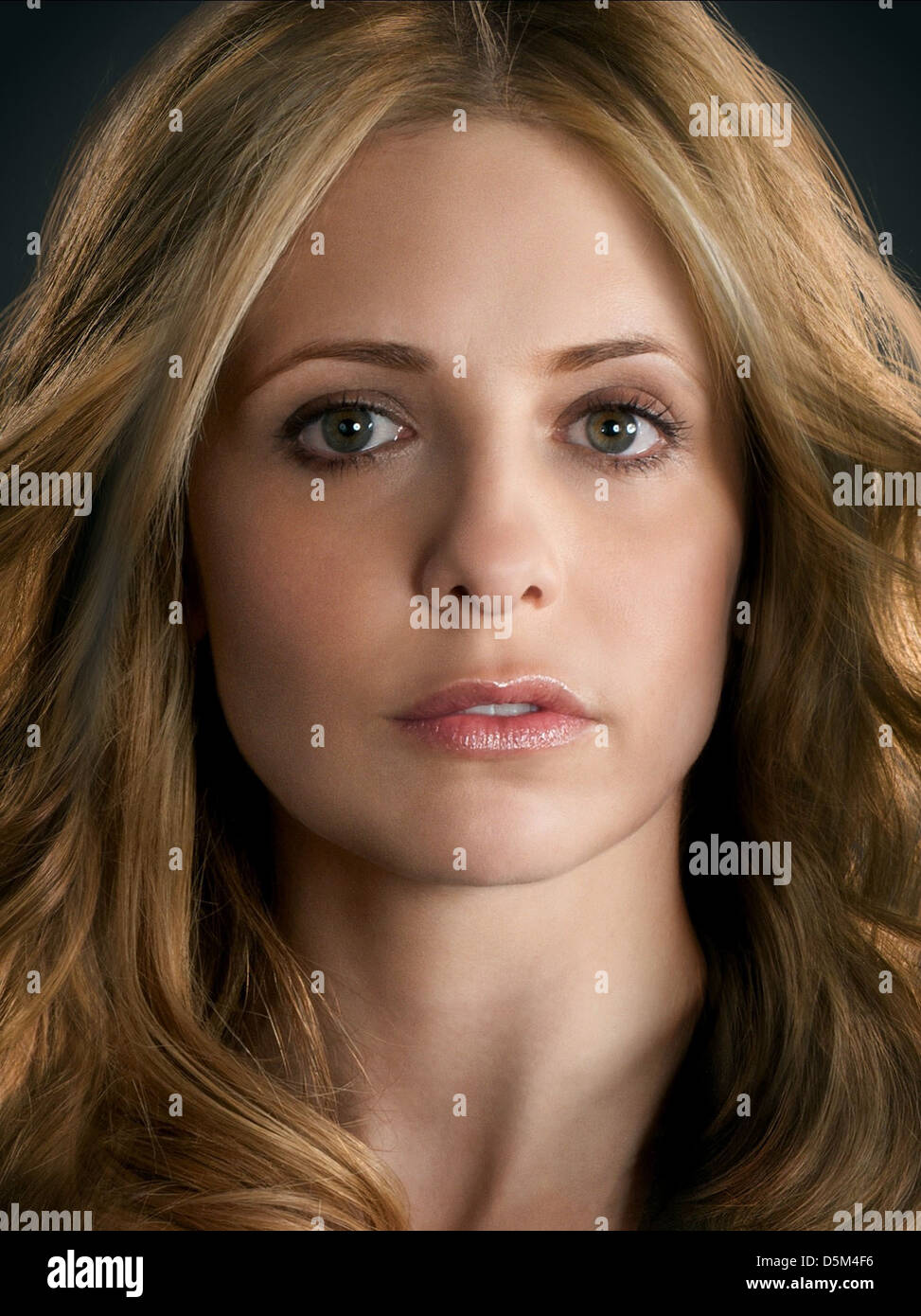 Absurd sarah michelle gellar as Sarah michelle gellar as confirm. agree
