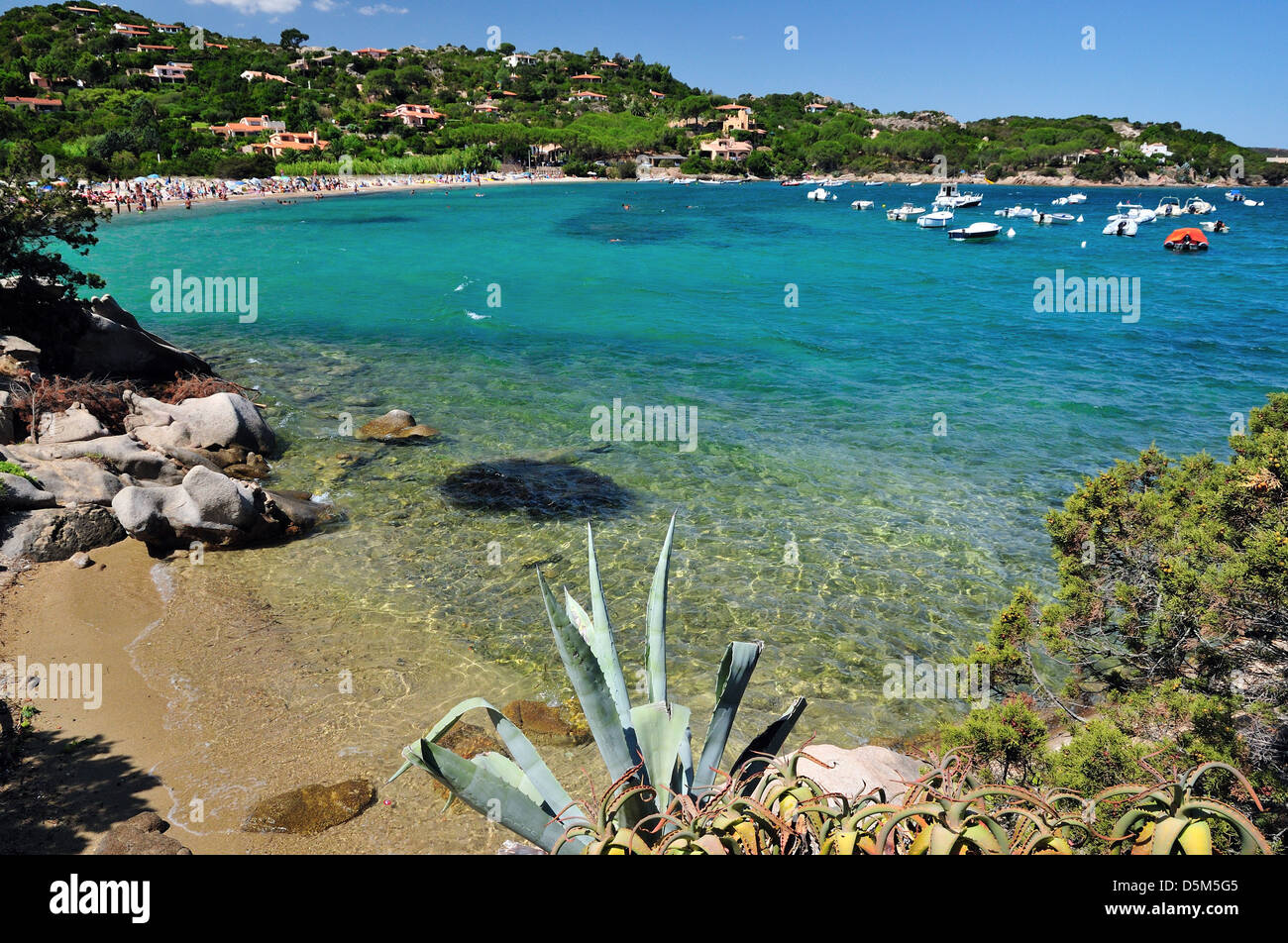 Curva andrea costa hi-res stock photography and images - Alamy
