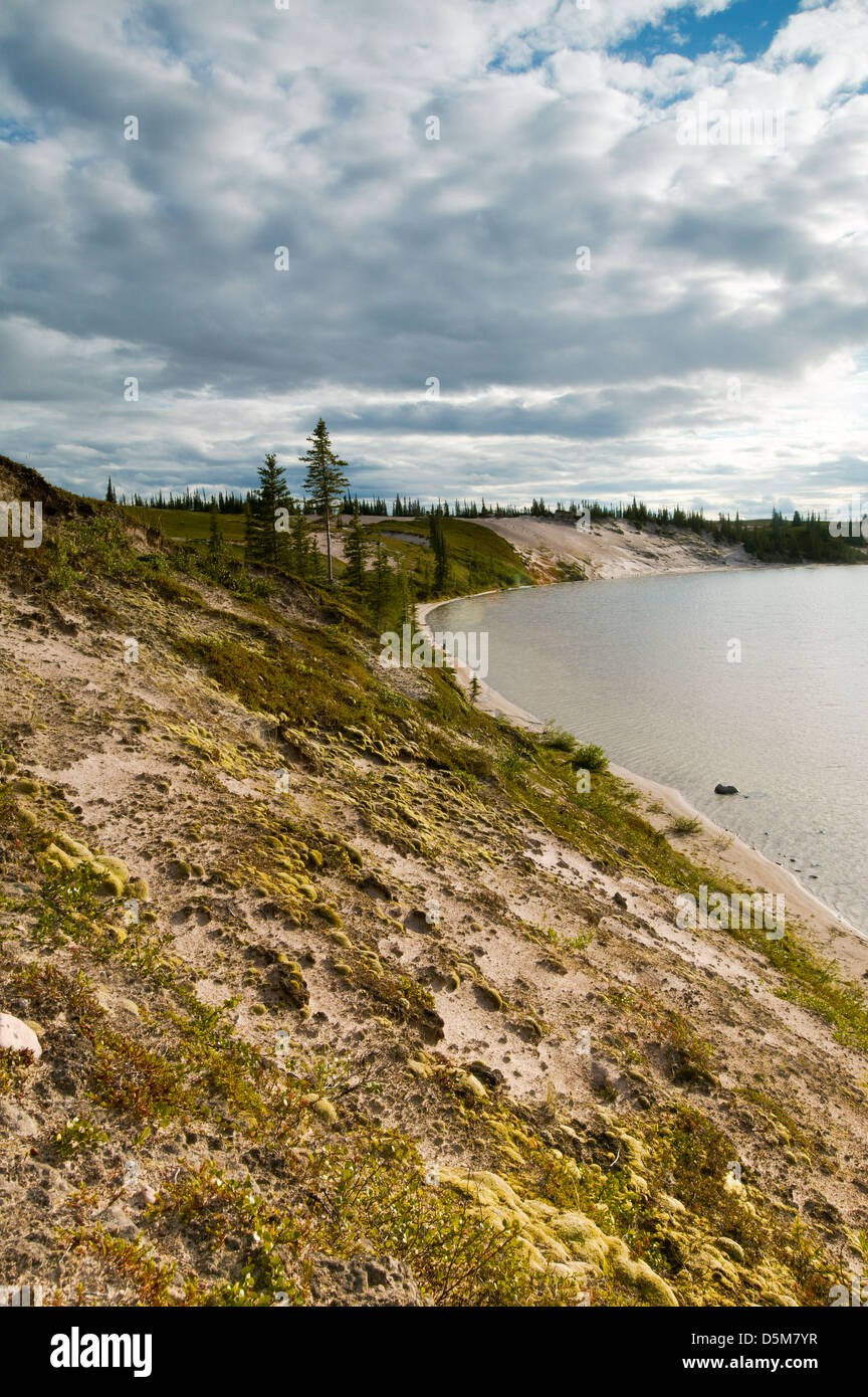 The shoreline of Whitefish lake in an area called The Barrenlands
