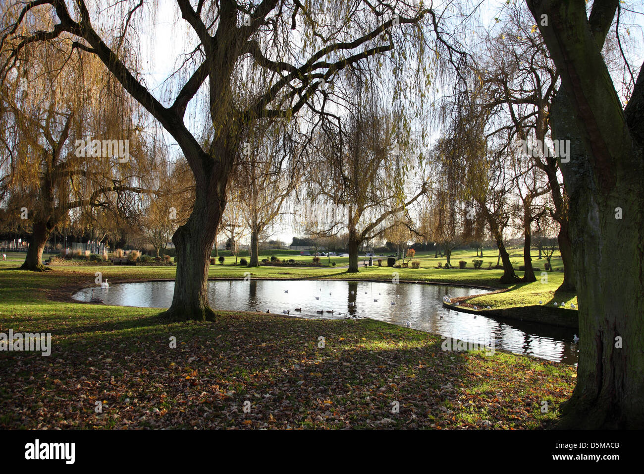 The pond/lake at Sanders Park, Bromsgrove, Worcestershire, surrounded