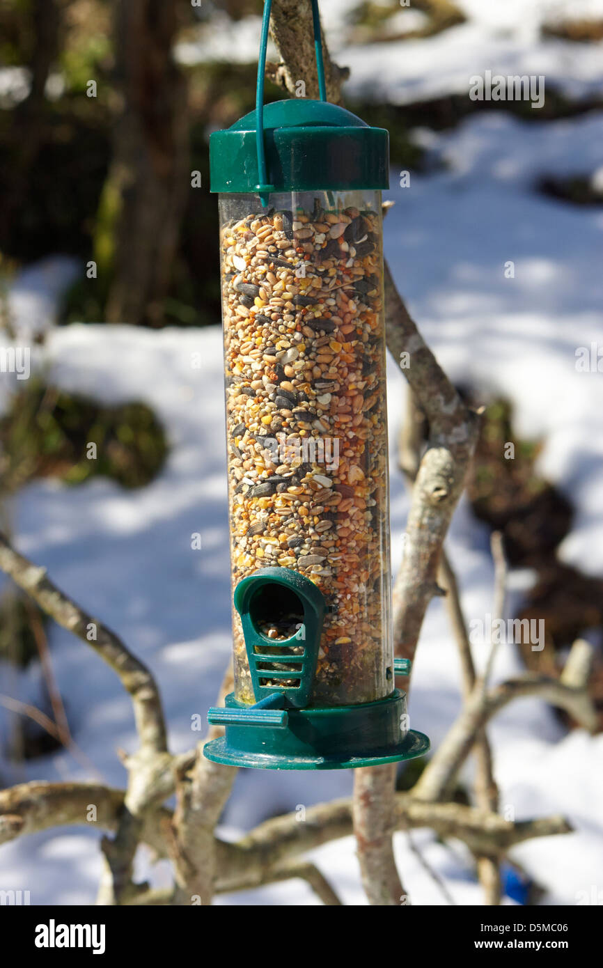 winter wild bird seed food in a plastic feeder in a garden in the uk Stock Photo