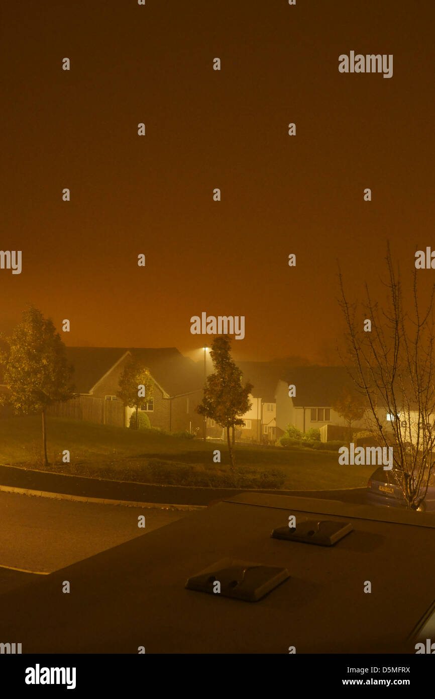 Fog light pollution Hastings trees pavement road Stock Photo